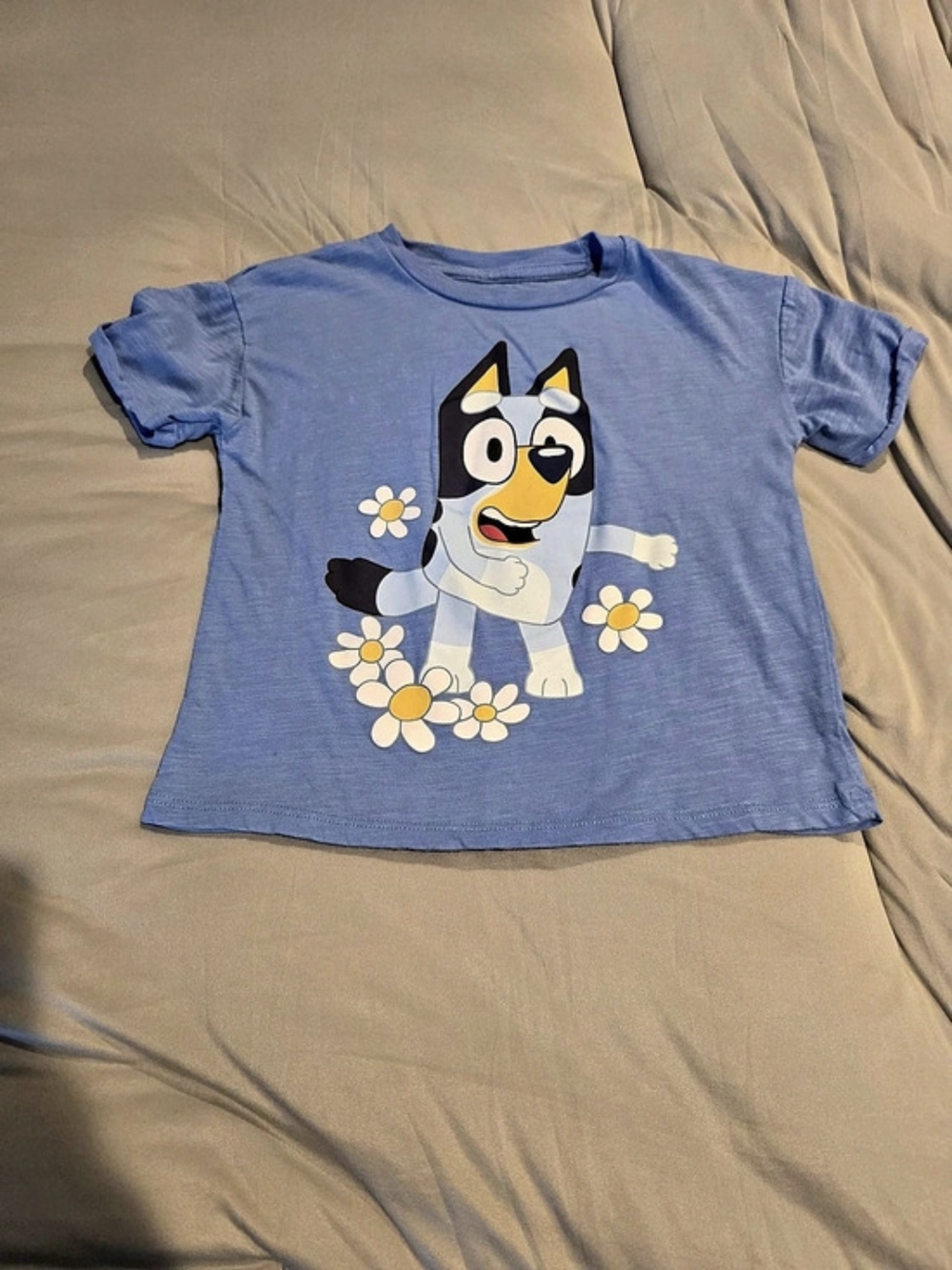 Bluey Blue Graphic Short Sleeve Tee